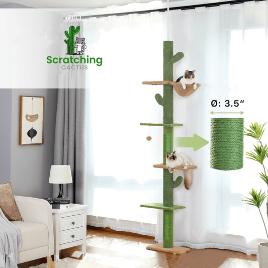 The ScratchingCactus Climbing Pole