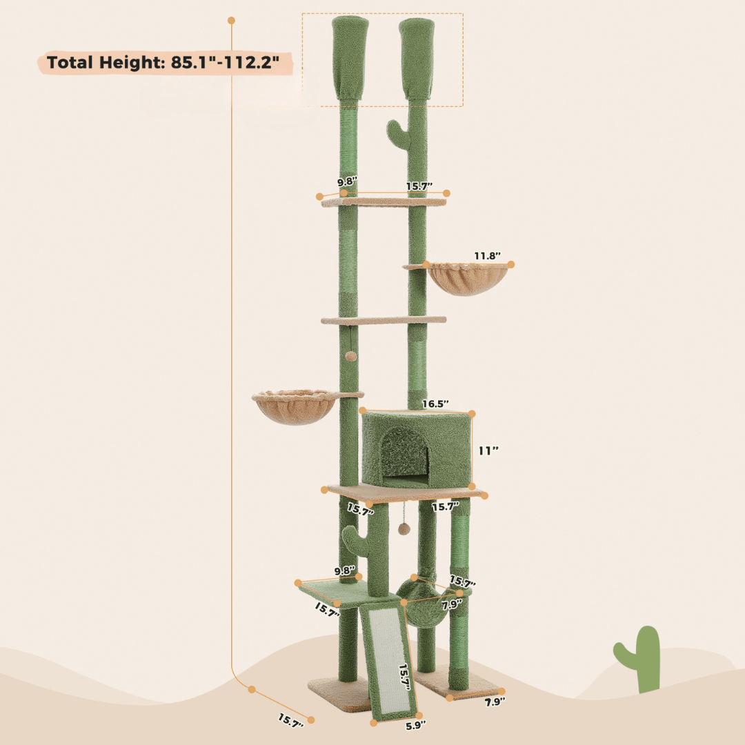 Scratching Cactus Climbing Mast