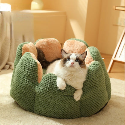 The Fluffy Cactus Bed