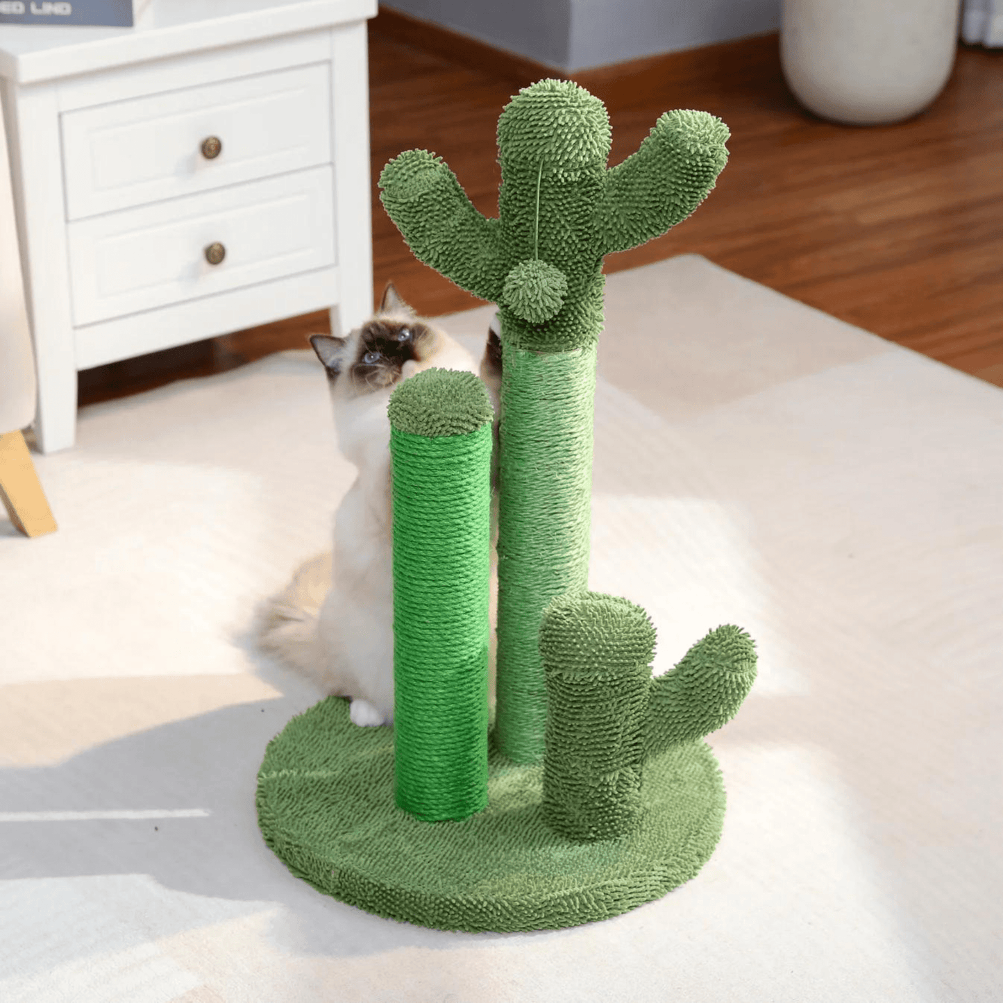 The Scratching Cactus